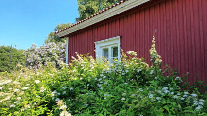 Punainen tupa
